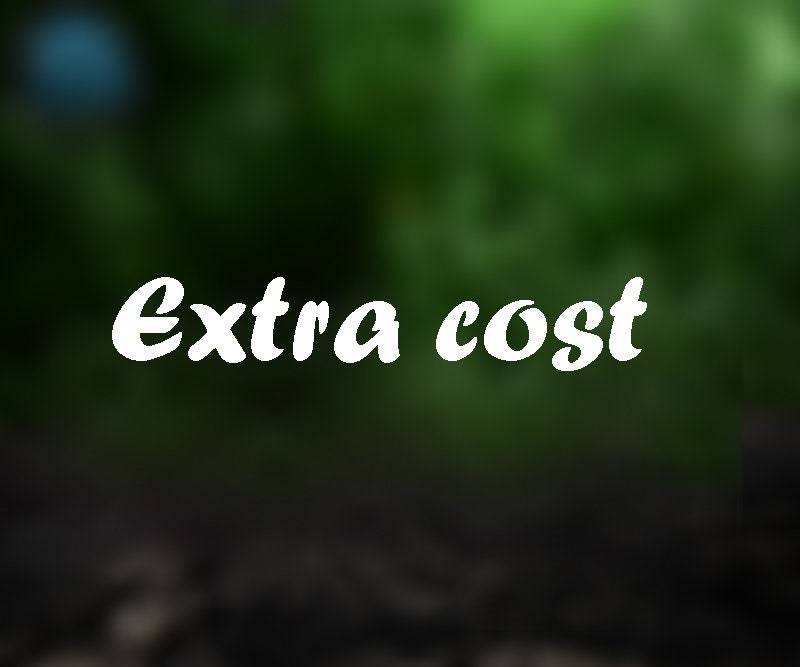 Resize Additional cost